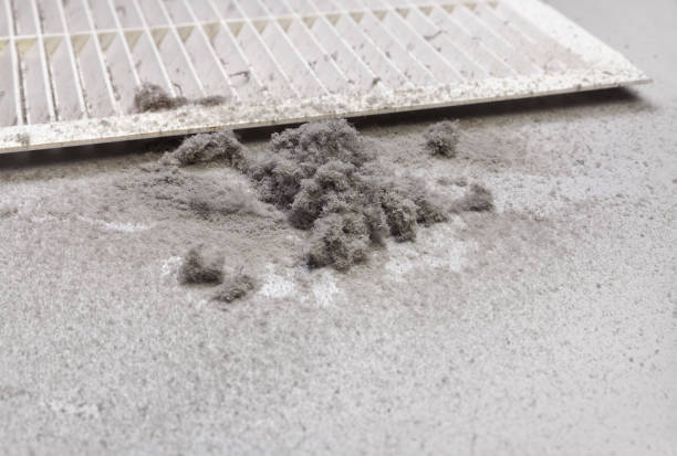 Best Air Duct Inspection  in Morgan, UT