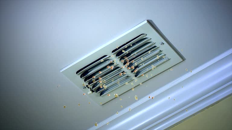 Best Commercial Air Duct Cleaning  in Morgan, UT